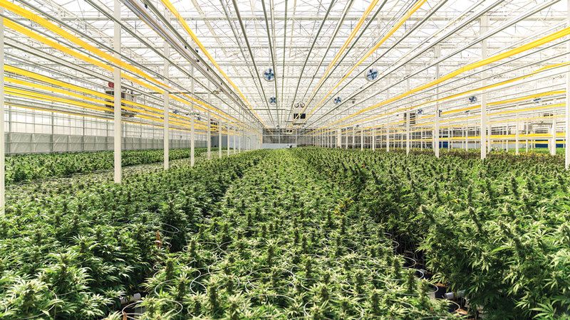 انطلق اليوم في المقر الرئيس للمركز الوطني لأبحاث وتطوير الزراعة المستدامة، "استدامة"، المعسكر التدريبي الذي يستهدف تعزيز المشاريع الزراعية الناشئة