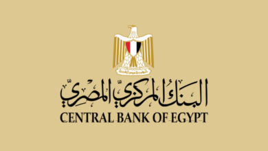 أصدرت هيئة الرقابة المالية والبنك المركزي المصري تحديثات جديدة للوائح الحصول على تراخيص التكنولوجيا المالية والخدمات البنكية الرقمية