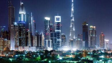 أعلن الشيخ محمد بن راشد آل مكتوم، رئيس الوزراء الإماراتي ونائب رئيس الدولة، عن إنشاء وزارة الاستثمار، وتم تعيين محمد حسن السويدي وزيرًا للإستثمار.