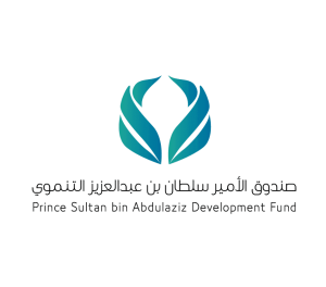 أعلن صندوق الأمير سلطان بن عبد العزيز التنموي في الدمام عن إطلاق النسخة الثانية من برنامج حاضنة المشاريع الصناعية، وسط مشاركة 13 جهة حكومية مختصة.