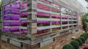 كريسب فارمز تنجح في جمع تمويل من الفئة أ