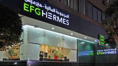 EFG Hermes Acquires Minority Stake in Danish Fintech Kenzi Wealth