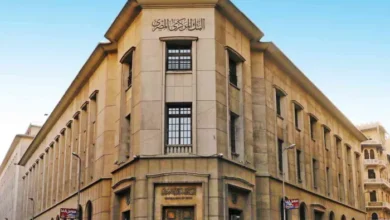 استحداث مادة "أساسيات التكنولوجيا المالية" في مناهج التعليم الجامعي لأول مرة في مصر