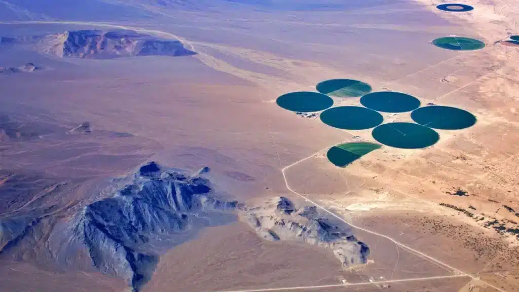 WaHa Secures $8M in Series A-1 Funding to Expand Across the Gulf Region