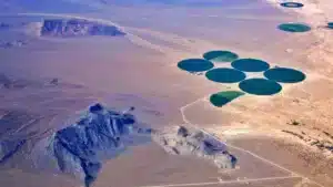 WaHa Secures $8M in Series A-1 Funding to Expand Across the Gulf Region