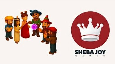 شركة Sheba Joy تغلق جولة تمويلية بقيمة 293 ألف دولار
