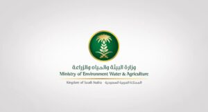 Applications Open for Sunbolah, Sedrah, and Sahabah Accelerator Programs 2026 in Saudi Arabia